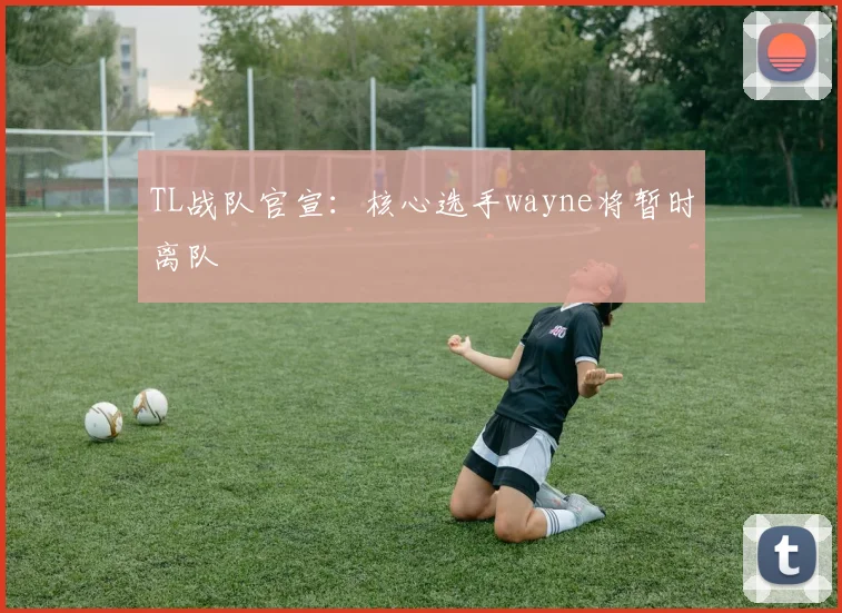 TL战队官宣:核心选手wayne将暂时离队